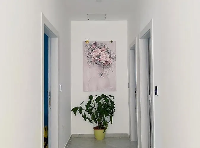 Jelena 5 아파트 *